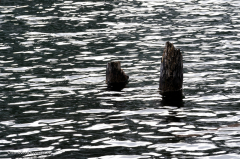bad_reichenhall-032-thumsee-42