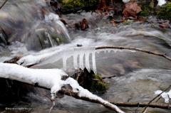 bad_reichenhall-031-zum_thumsee-32
