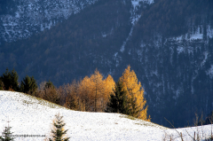 bad_reichenhall-042-zum_listsee- 41