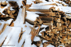 bad_reichenhall-043-holzstapel-04