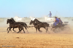 donaufahrt_62.021_puszta_reiten