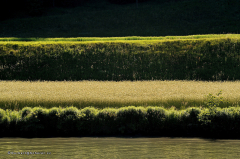 donaufahrt_01.013_donau_ufer