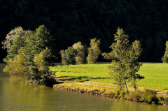 donaufahrt_01.019_donau_ufer