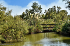 73500_camargue-5276