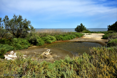 73700_camargue-5463