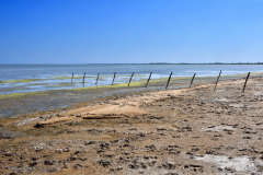 73730_camargue-5474