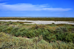 73625_camargue-5415