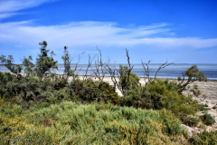 73640_camargue-5424