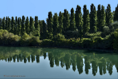 22032_lyon_&_fouvière_fluß-6051