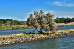 41060_schluchten_der_ardèche_fluß-4877