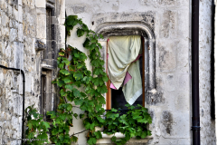 31177_viviers-4794