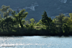 41105_schluchten_der_ardèche_fluß-4870