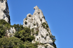 42430_schluchten_der_ardèche-4495
