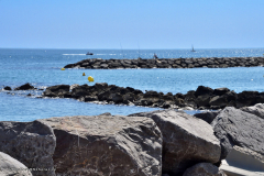 72170_camargue-5330