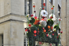 51801_avignon-5746