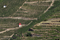22180_lyon_&_fouvière_fluß-6222