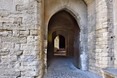 51535_avignon-5643
