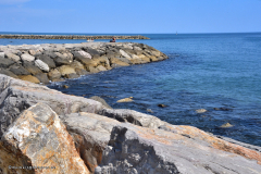 72160_camargue-5335