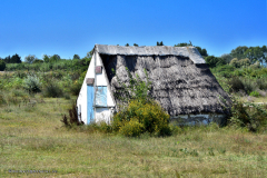 73255_camargue-5204