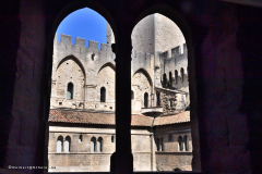 51540_avignon-5676