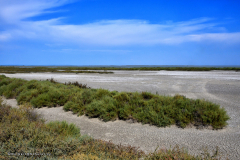 73610_camargue-5407