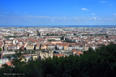 23960_lyon-6417