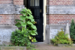1.3-190 holland-amsterdam_0667