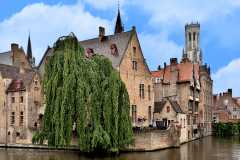 2.1-030 belgien-flandern-bruegge_3243