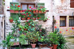03.044_rovinj