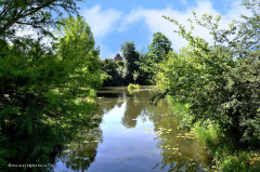 043_dessau_wörlitz_gaartenreich_3269