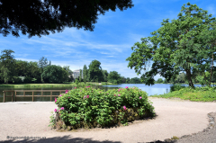 052_dessau_wörlitz_gaartenreich_3334