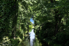 075_dessau_wörlitz_gaartenreich_3598