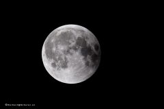 mondfinsternis_d5x_3291