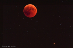 mondfinsternis_d5x_2280