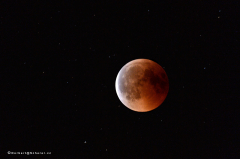 mondfinsternis_d5x_2683