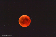 mondfinsternis_d5x_2430