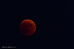 mondfinsternis_d5x_2262