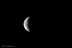 mondfinsternis_d5x_2908