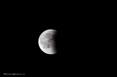 mondfinsternis_d5x_3048
