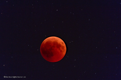 mondfinsternis_d5x_2275
