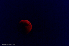 mondfinsternis_d5x_2243