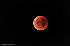 mondfinsternis_9281