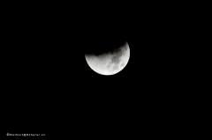 mondfinsternis_8992