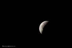 mondfinsternis_9457