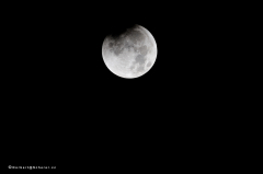 mondfinsternis_8943
