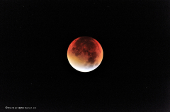 mondfinsternis_9156