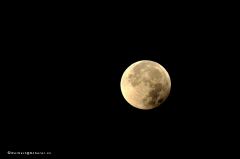 mondfinsternis_9587