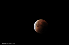 mondfinsternis_9359