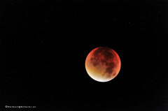 mondfinsternis_9202