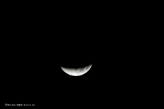 mondfinsternis_9080